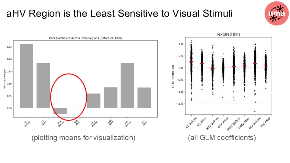 Track Coefficient Across Brain Regions (before vs. after learning). Left: aHV track GLM weight is near zero — circled in red — while V1, mHV, and lHV are clearly positive. Right: scatter of all GLM coefficients per region shows aHV's markedly flatter distribution for textured bins.