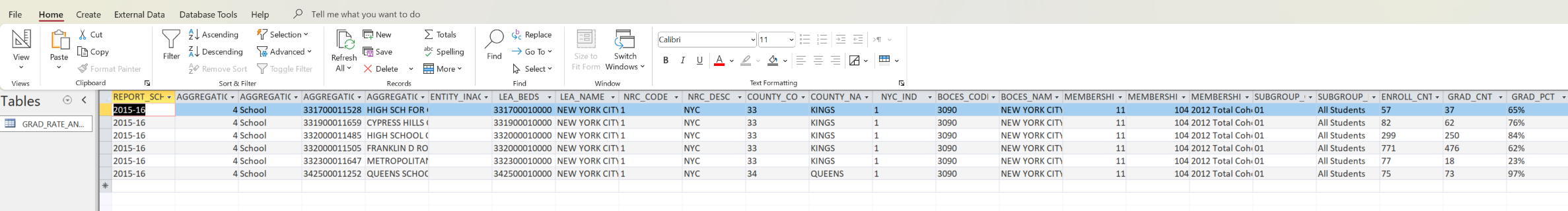 The result of the basic SELECT all query, filtered by BEDSCODE, MEMBERSHIP_CODE, and SUBGROUP_NAME.