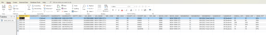The result of the basic SELECT all query, filtered by BEDSCODE, MEMBERSHIP_CODE, and SUBGROUP_NAME.